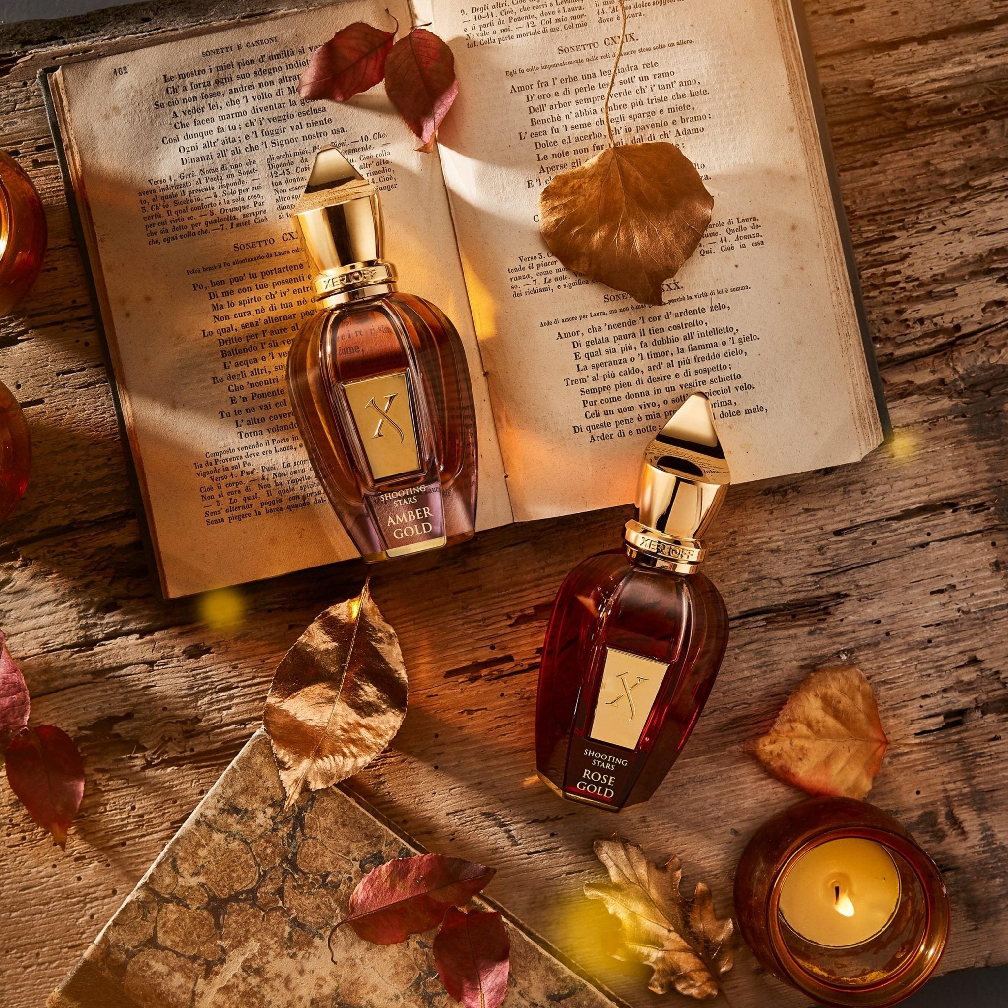 Fall Collection - Rabica