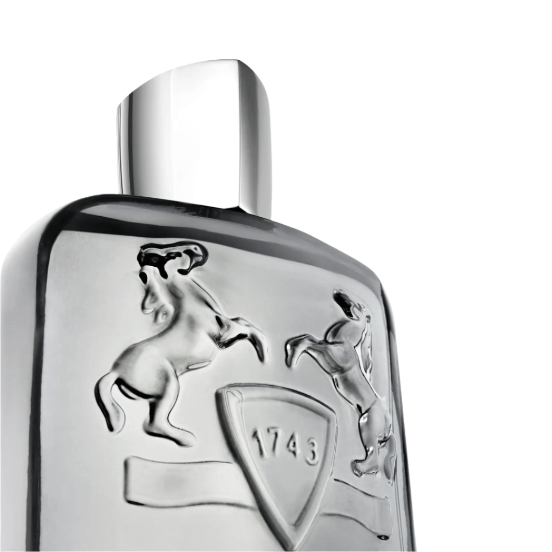 New Arrival - Rabica