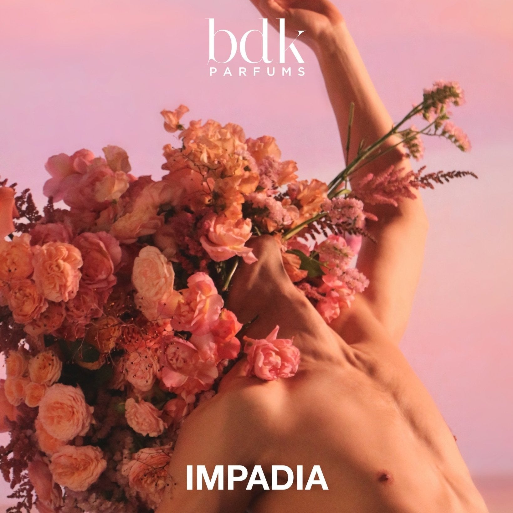 BDK Impadia EDP - BDKRabica