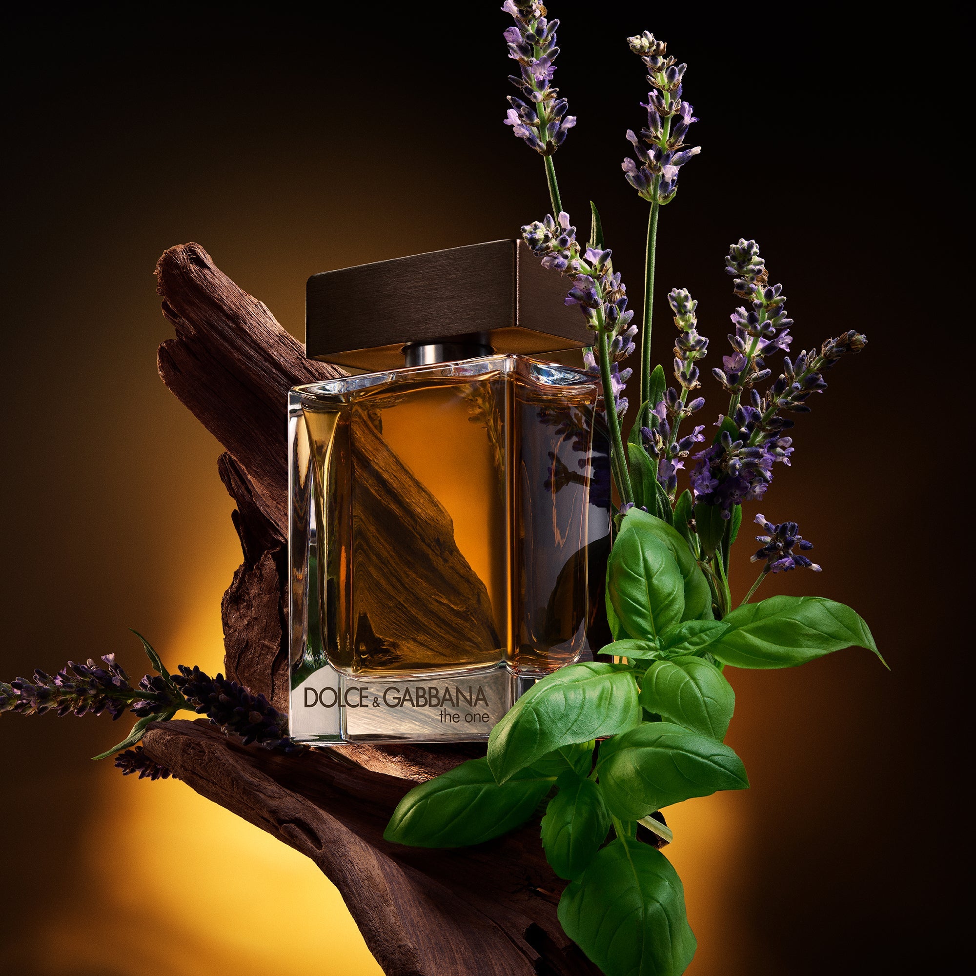 Dolce&Gabbana The One for Men | Eau de Toilette -Dolce & GabbanaDolce & Gabbana