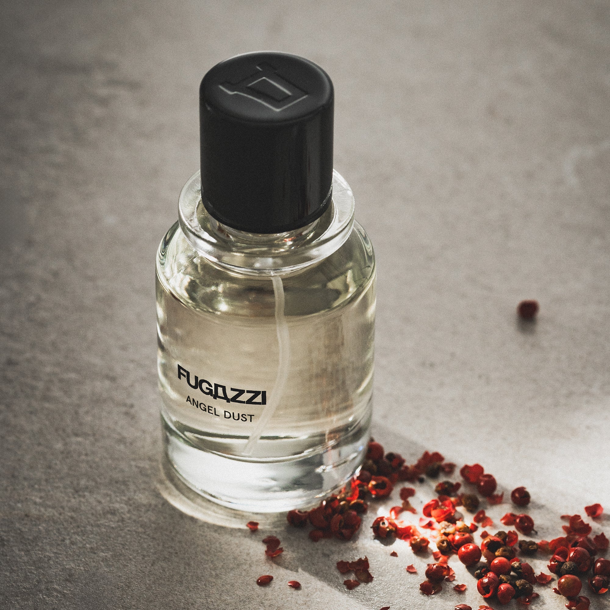 Fugazzi Angel Dust Extrait - FugazziFugazzi