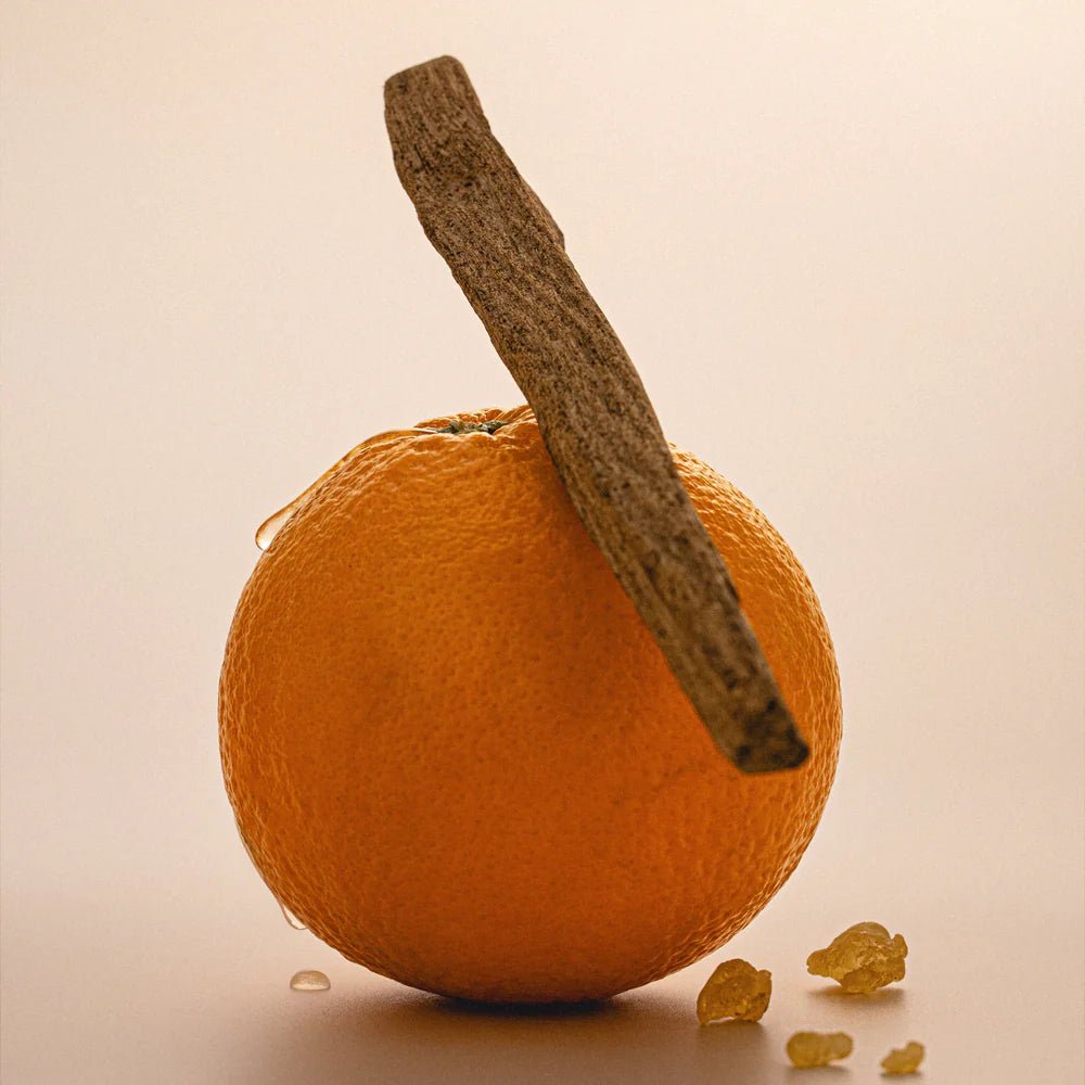 Fugazzi Orange Crush Extrait - FugazziFugazzi