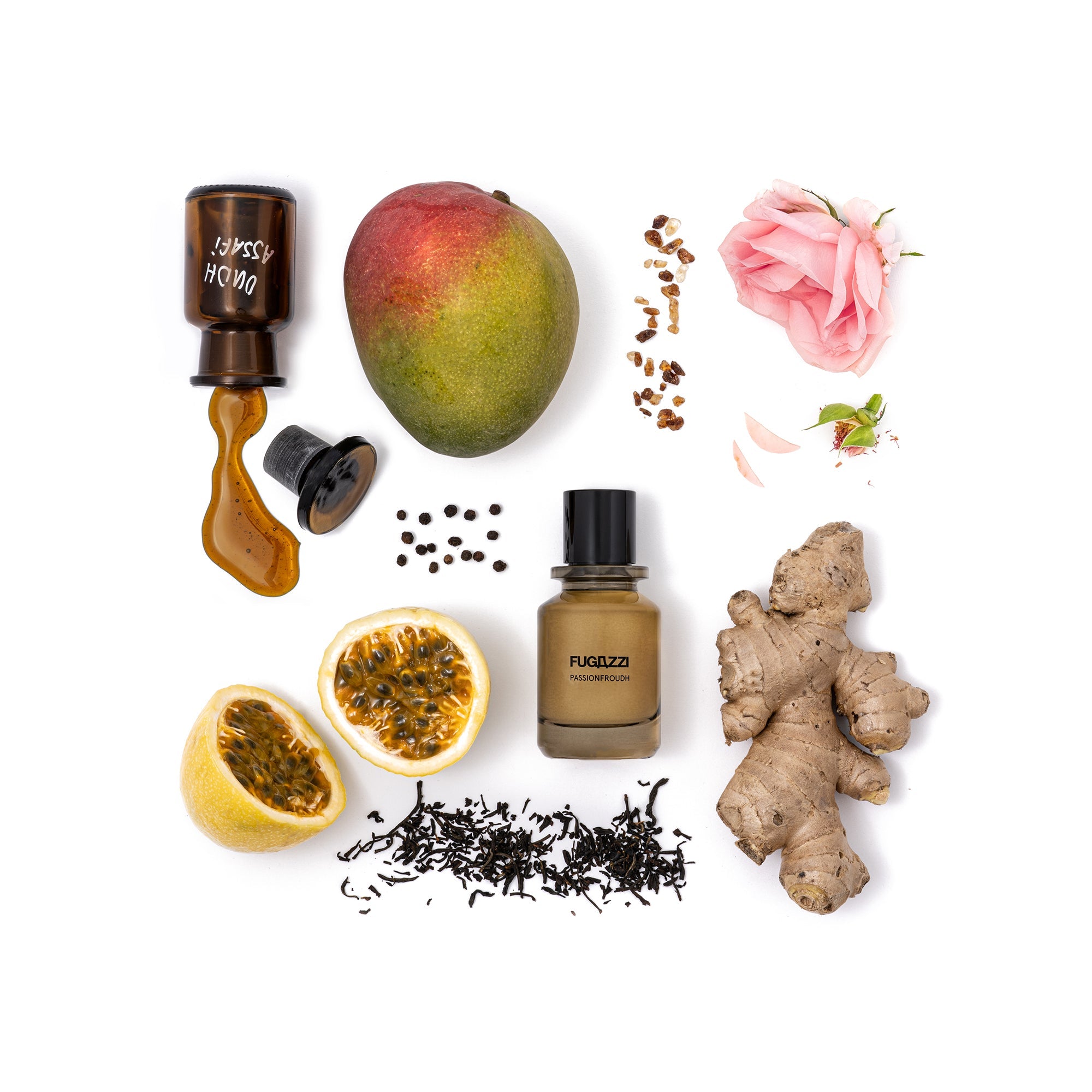 Fugazzi Passionfroudh Extrait - FugazziFugazzi