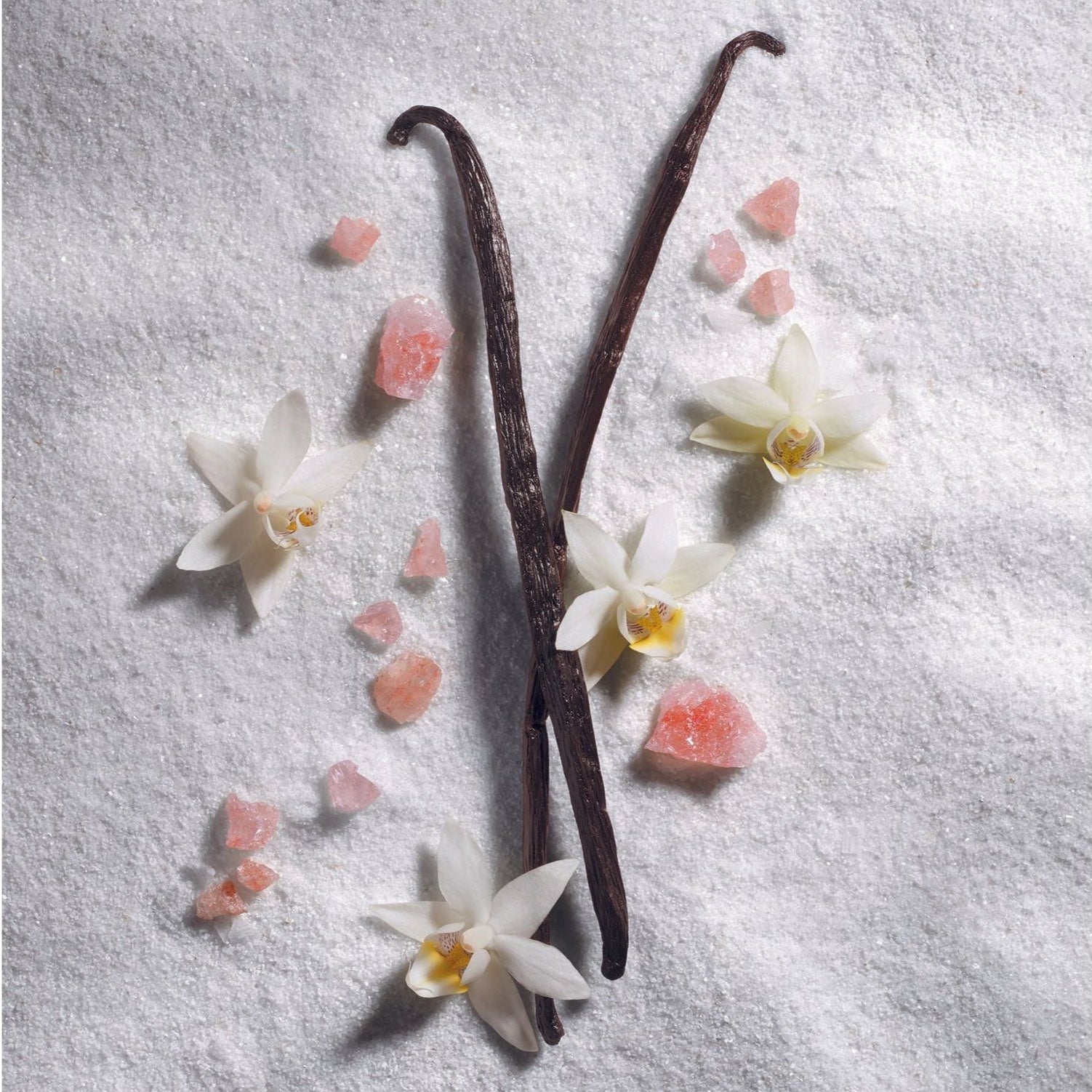 Juliette Has A Gun: VANILLA VIBES EDP - Juliette Has A GunRabica