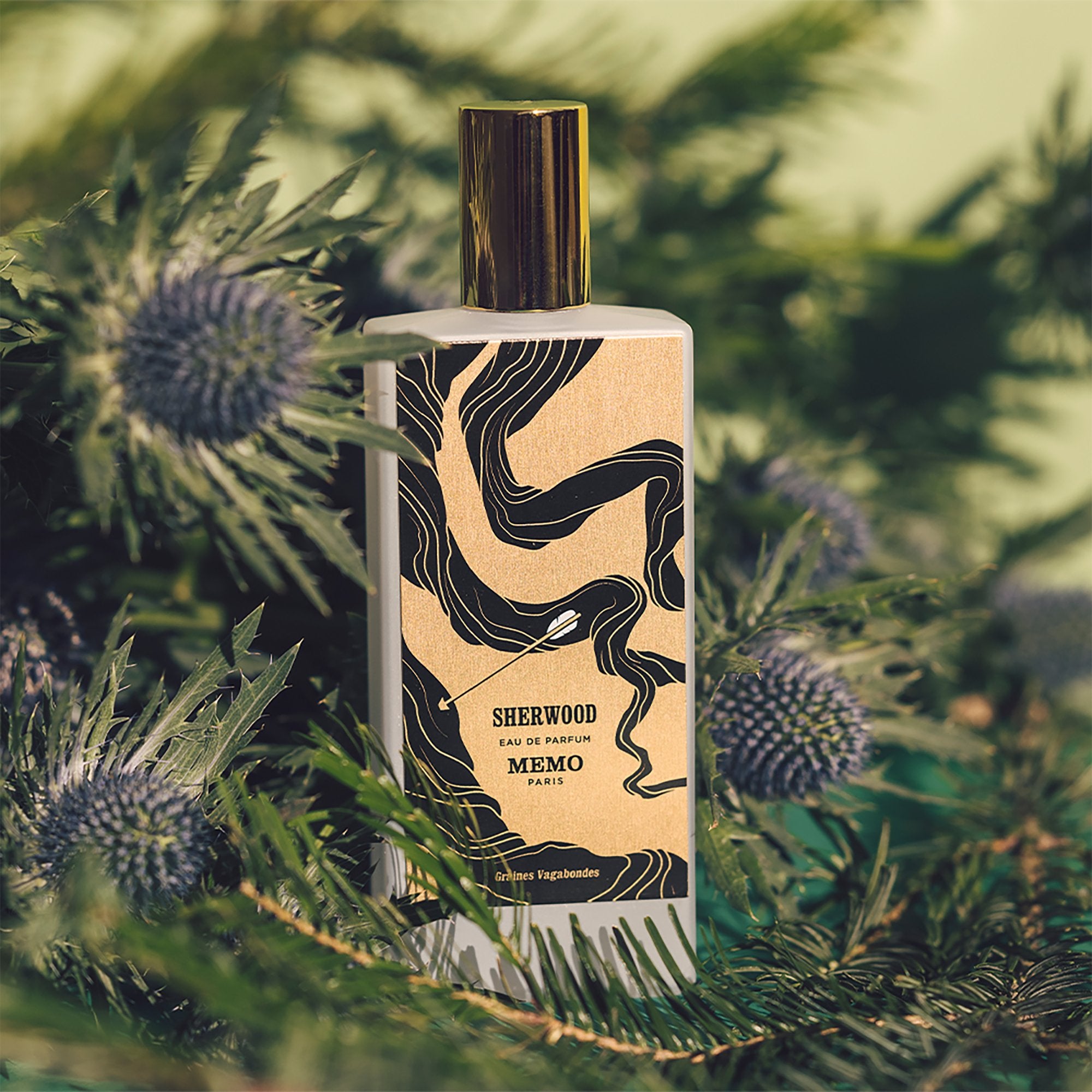 MEMO Sherwood EDP - MEMORabica