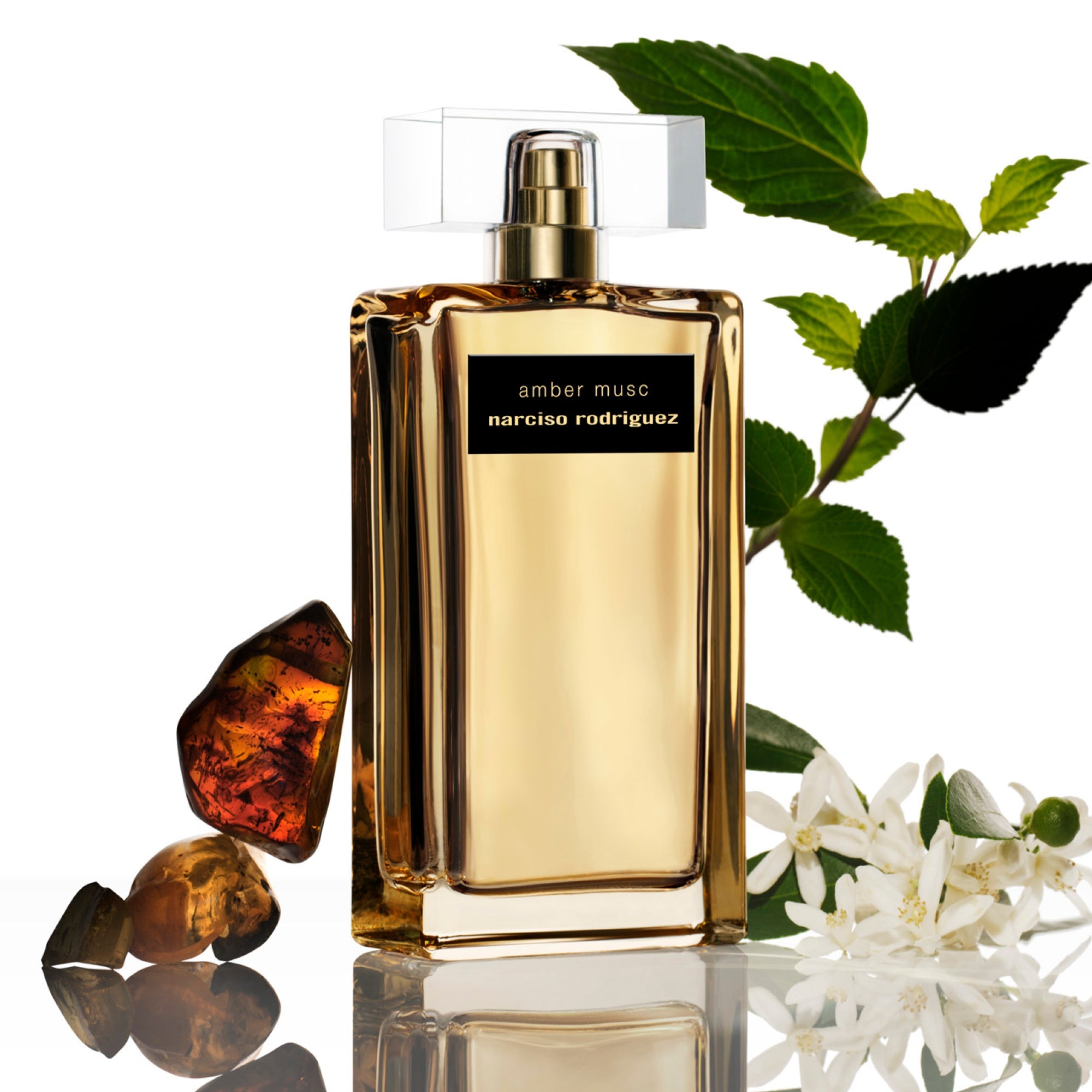 Narciso Rodriguez Amber Musc EDPI - Narciso RodriguezNarciso Rodriguez