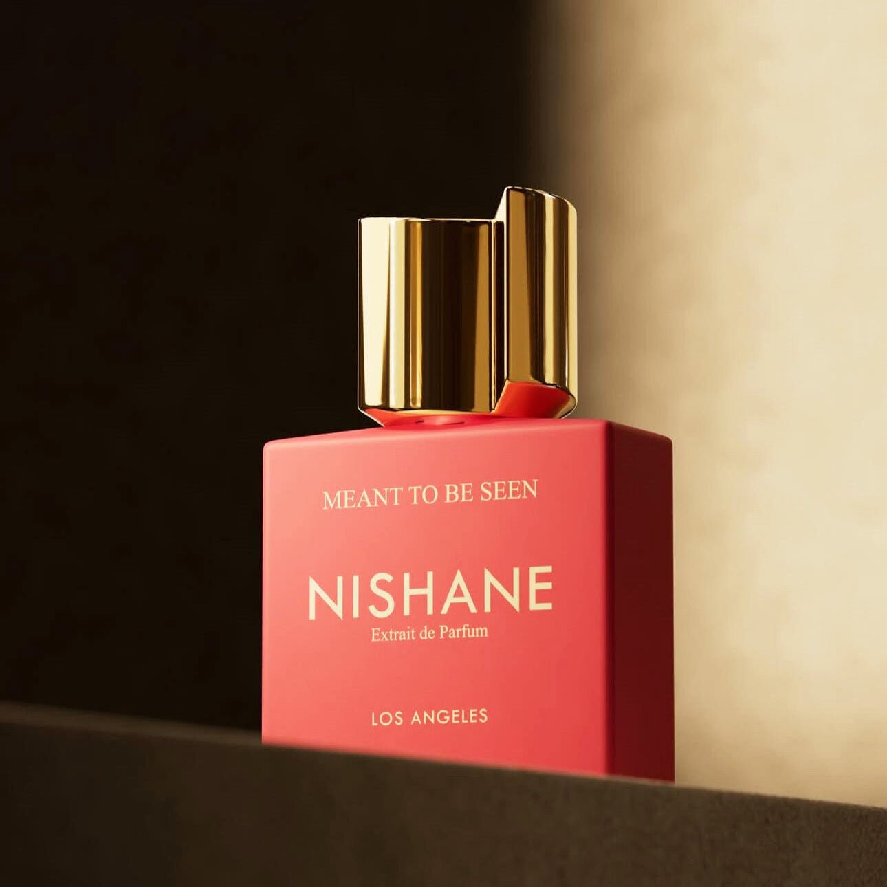 Nishane Meant to Be Seen - NishaneNishane