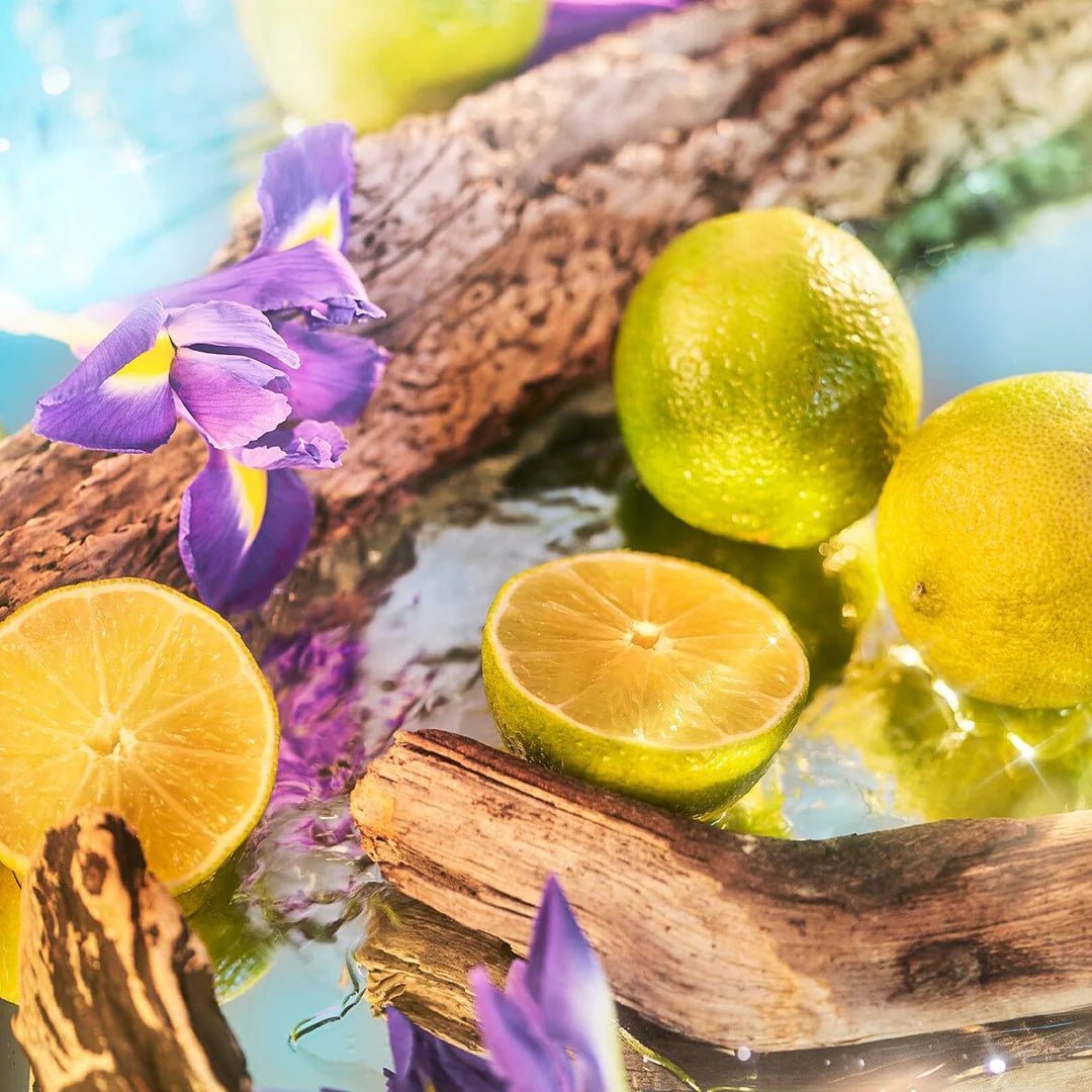 Roja Oceania EDP - RojaRabica