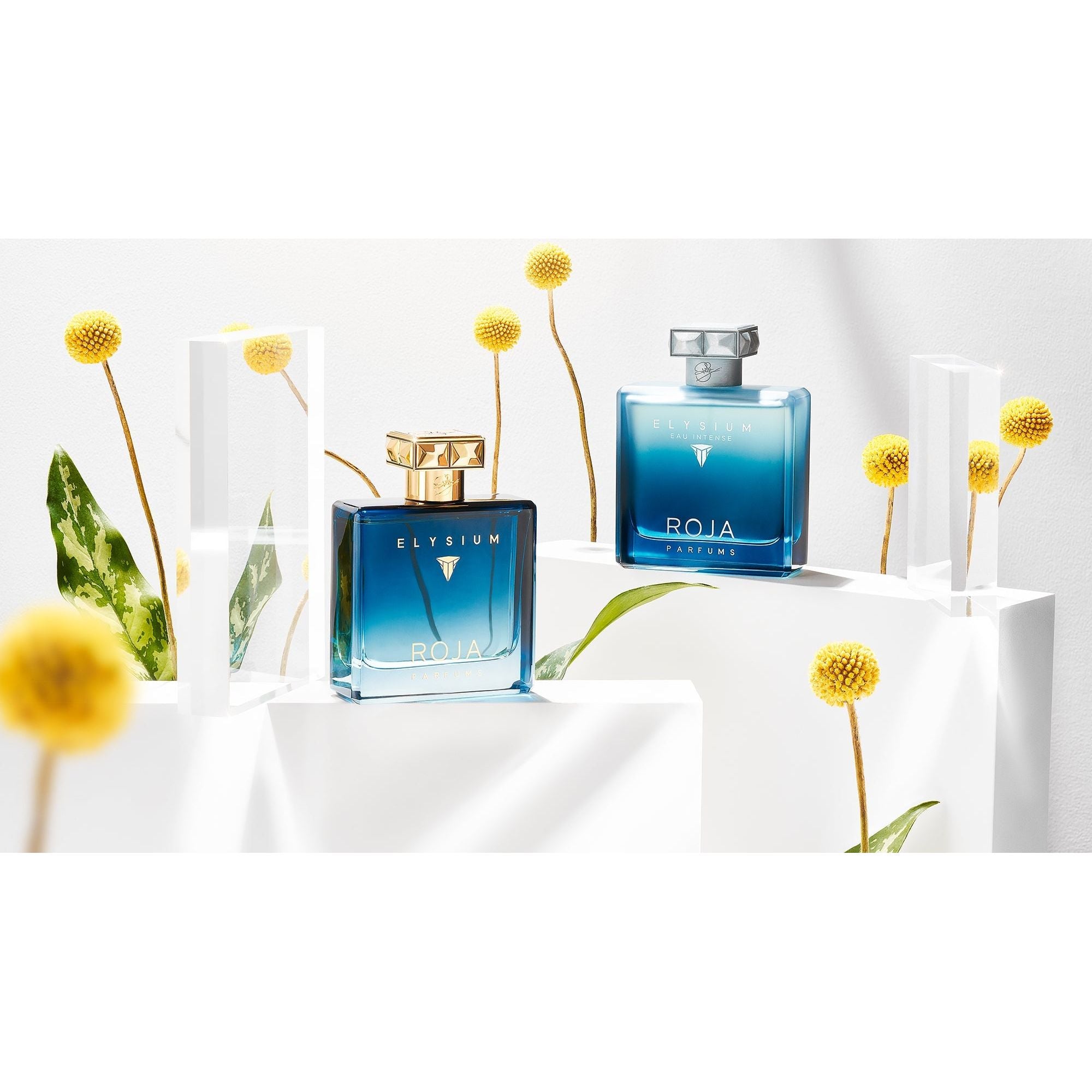 Roja Parfums Elysium Eau Intense 100ml - RojaRabica
