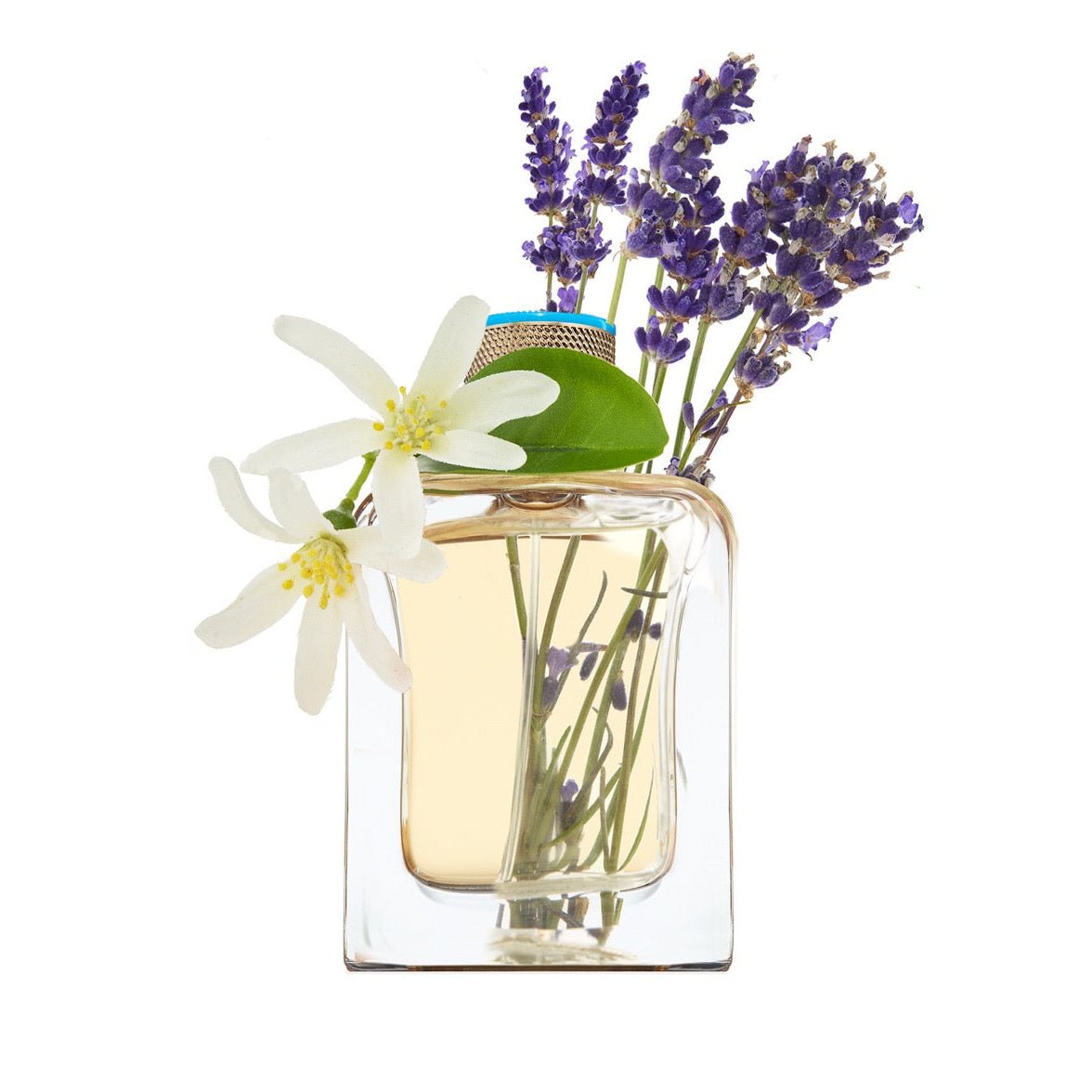 Véronique Gabai Eau d’Azur | Eau de Parfum -Véronique GabaiVERONIQUE GABAI