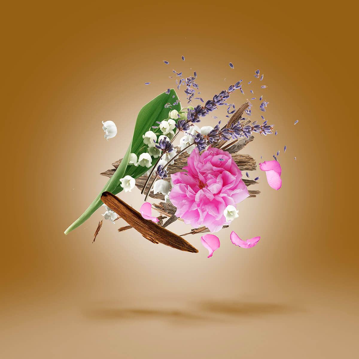 Xerjoff Oud Stars Alexandria II Extrait - XerjoffRabica