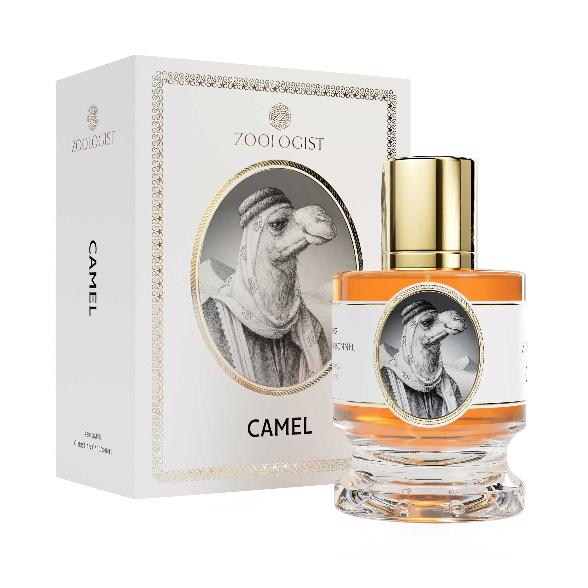 Zoologist Camel - ZoologistZoologist