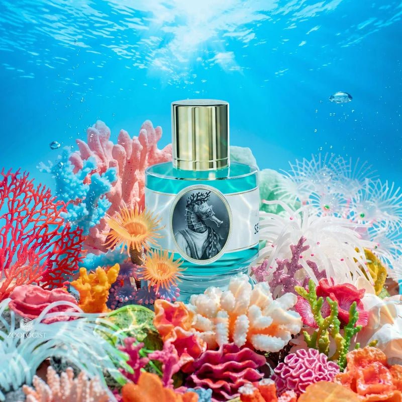 Zoologist Seahorse - ZoologistZoologist
