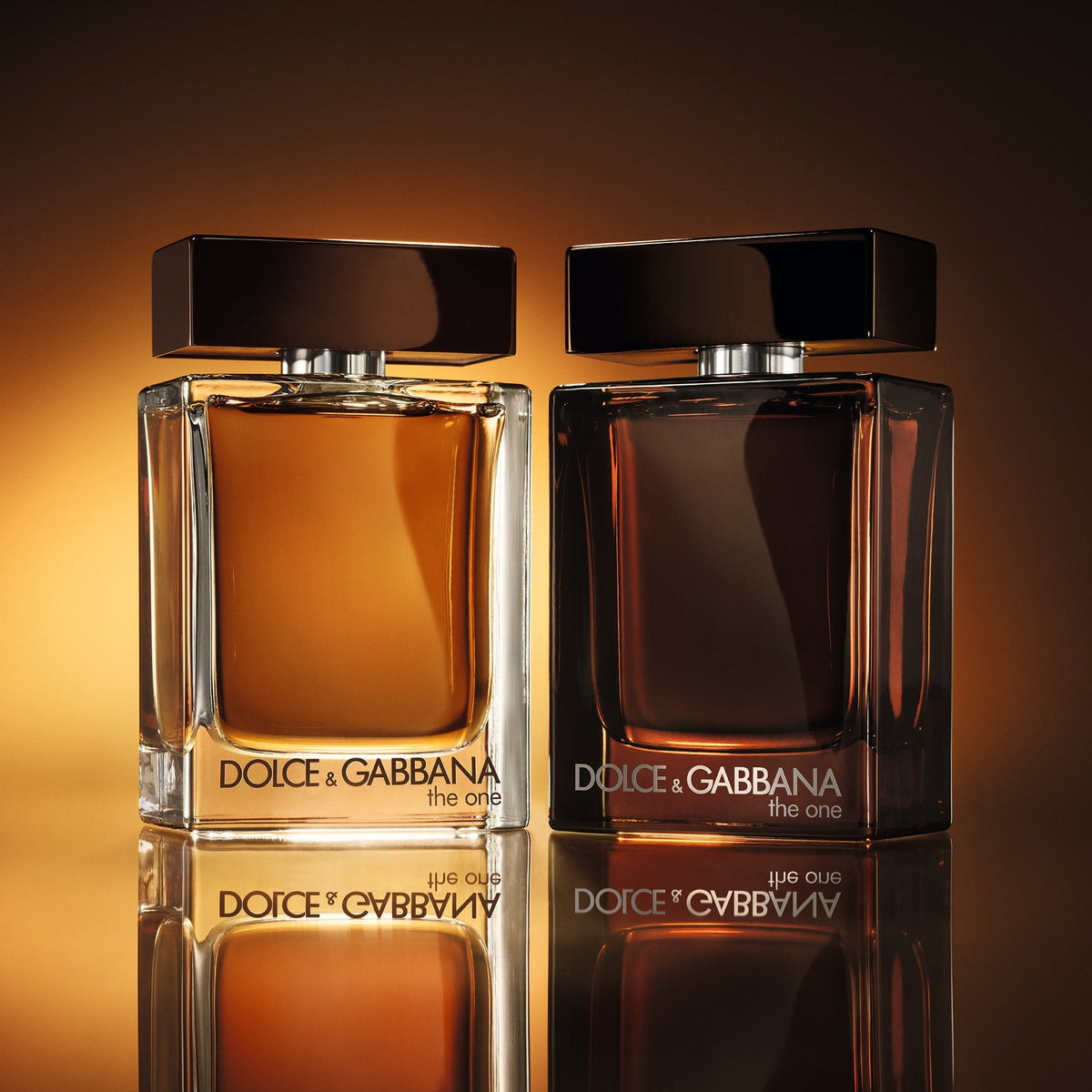 Dolce&Gabbana - Rabica