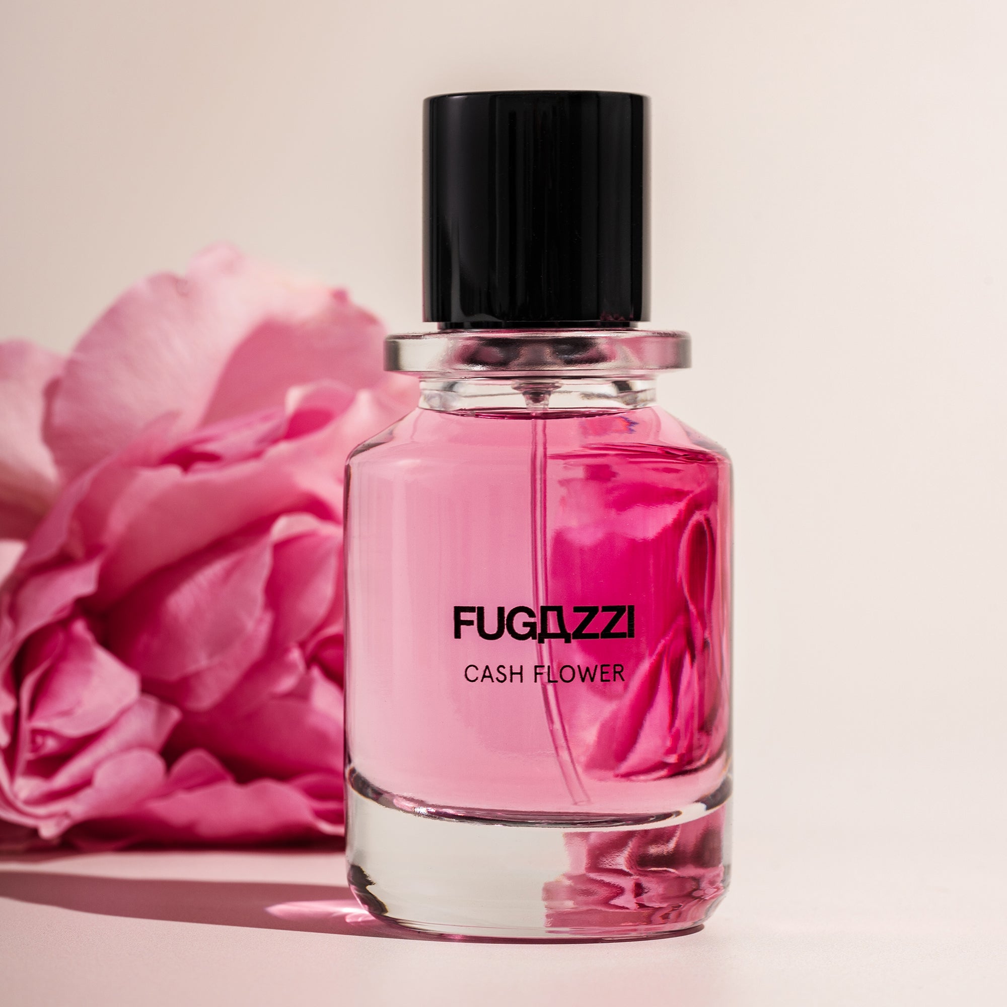 Spring Collection - Rabica