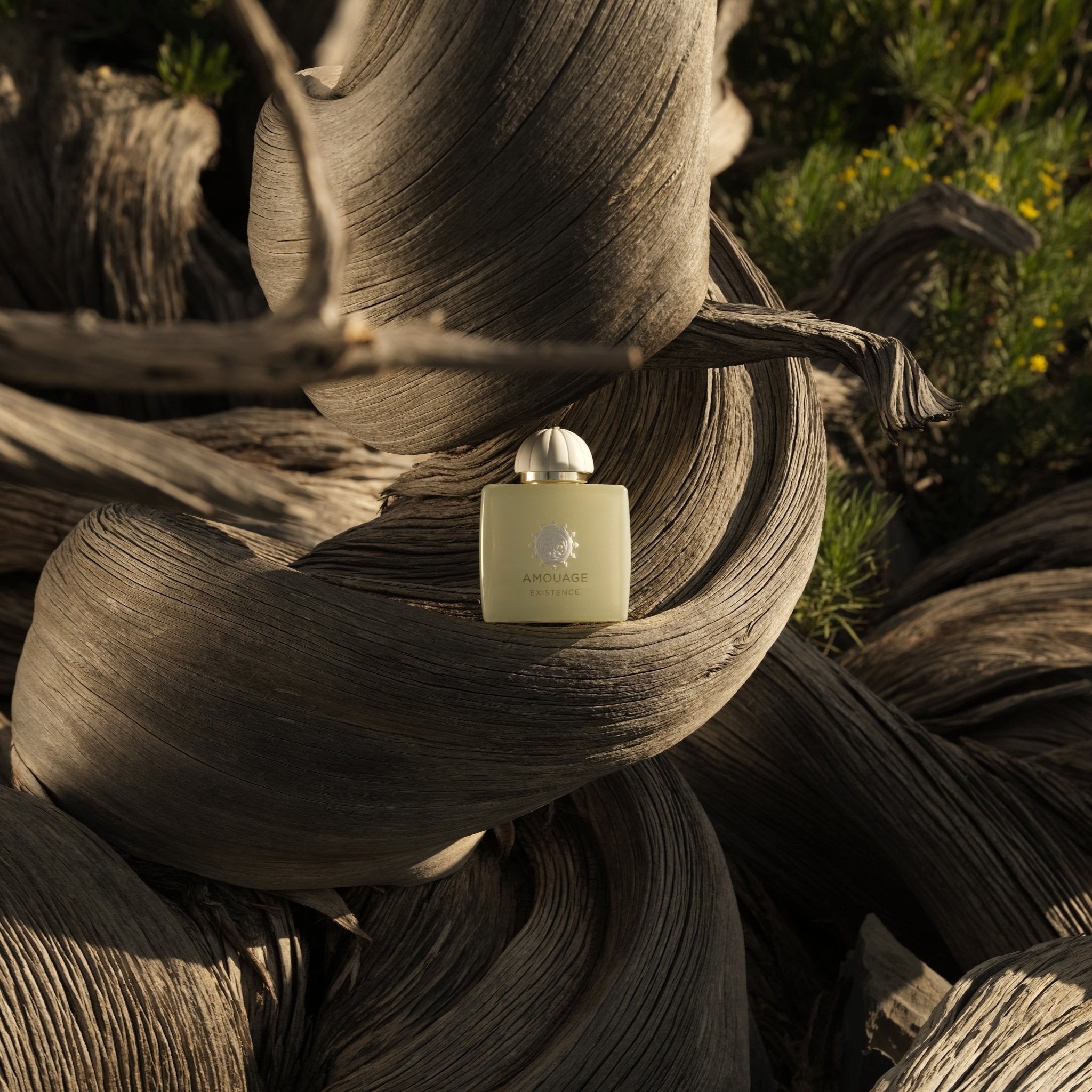 Amouage Decision | Eau de Parfum -AmouageAmouage