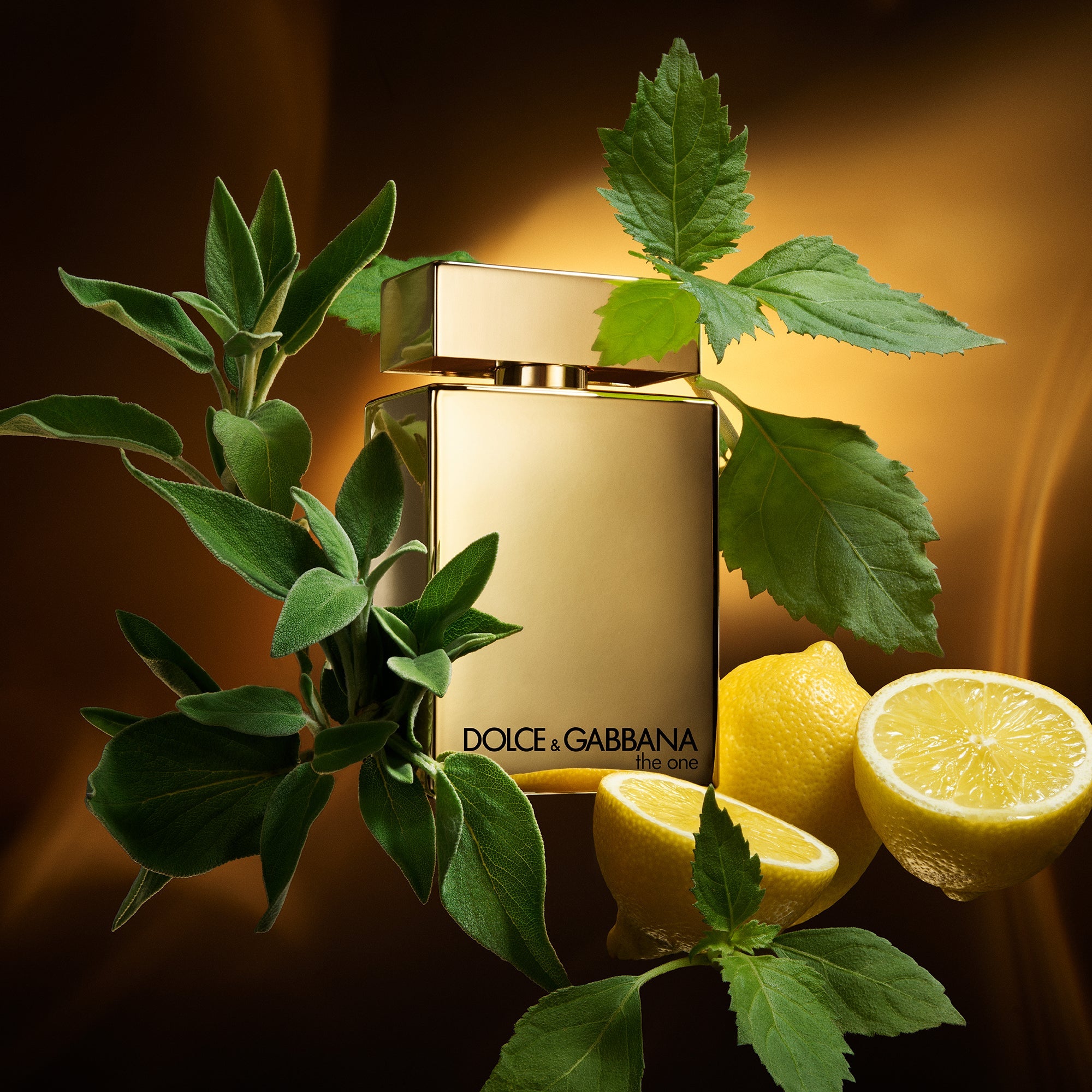 Dolce&Gabbana The One for Men Gold | Eau de Parfum Intense -Dolce & GabbanaDolce & Gabbana
