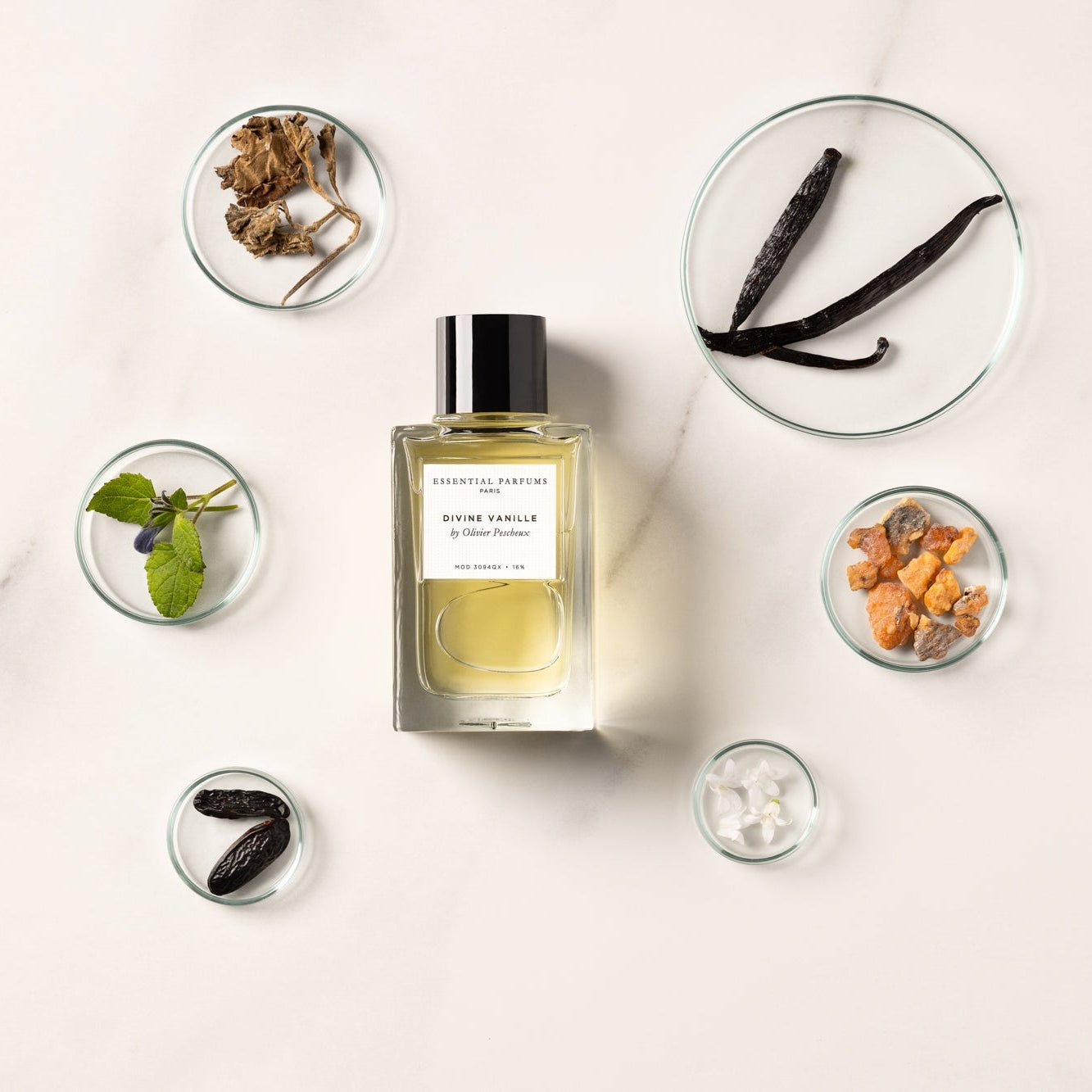 Essential Parfums Divine Vanille - Rabica