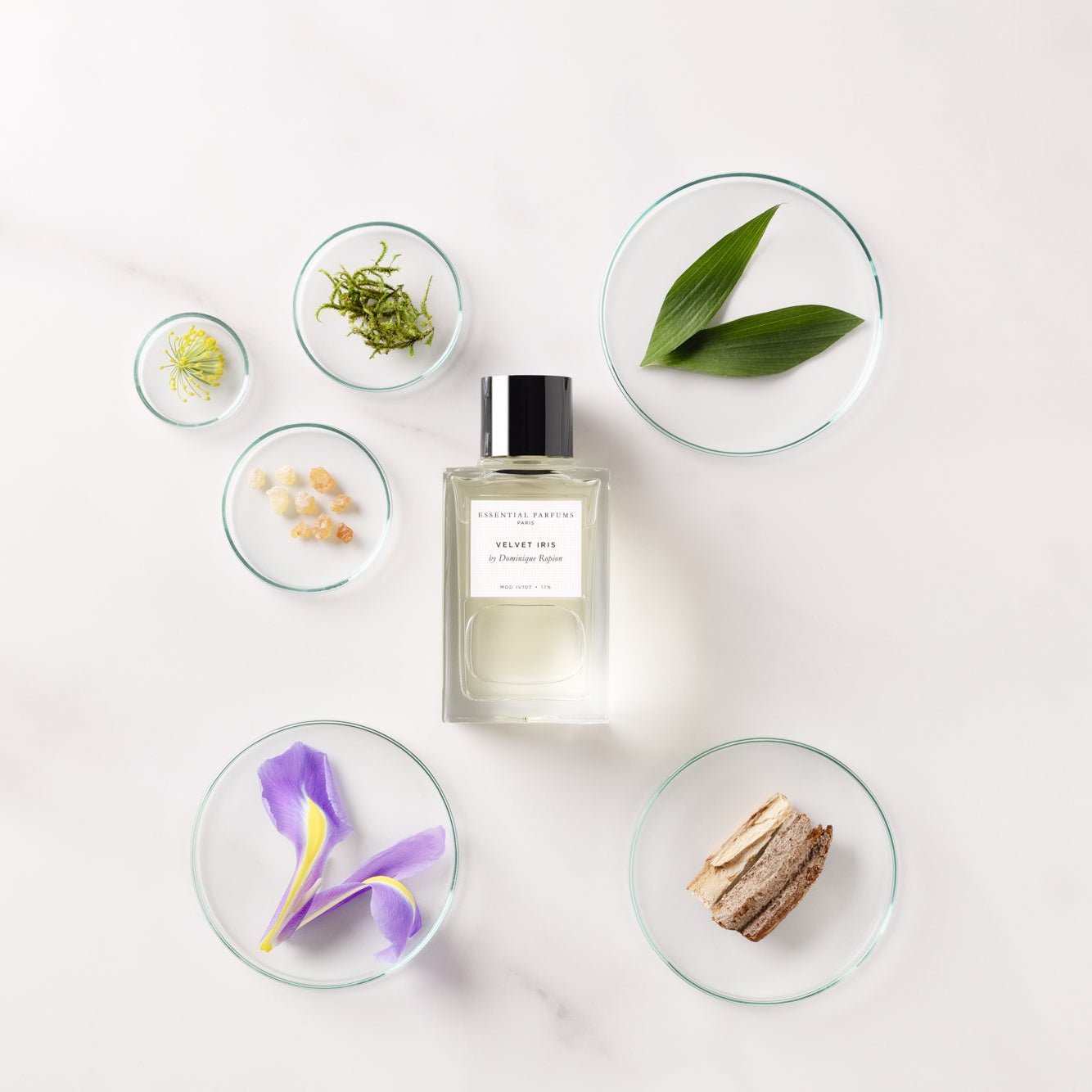 Essential Parfums Velvet Iris - Essential ParfumsEssential Parfums