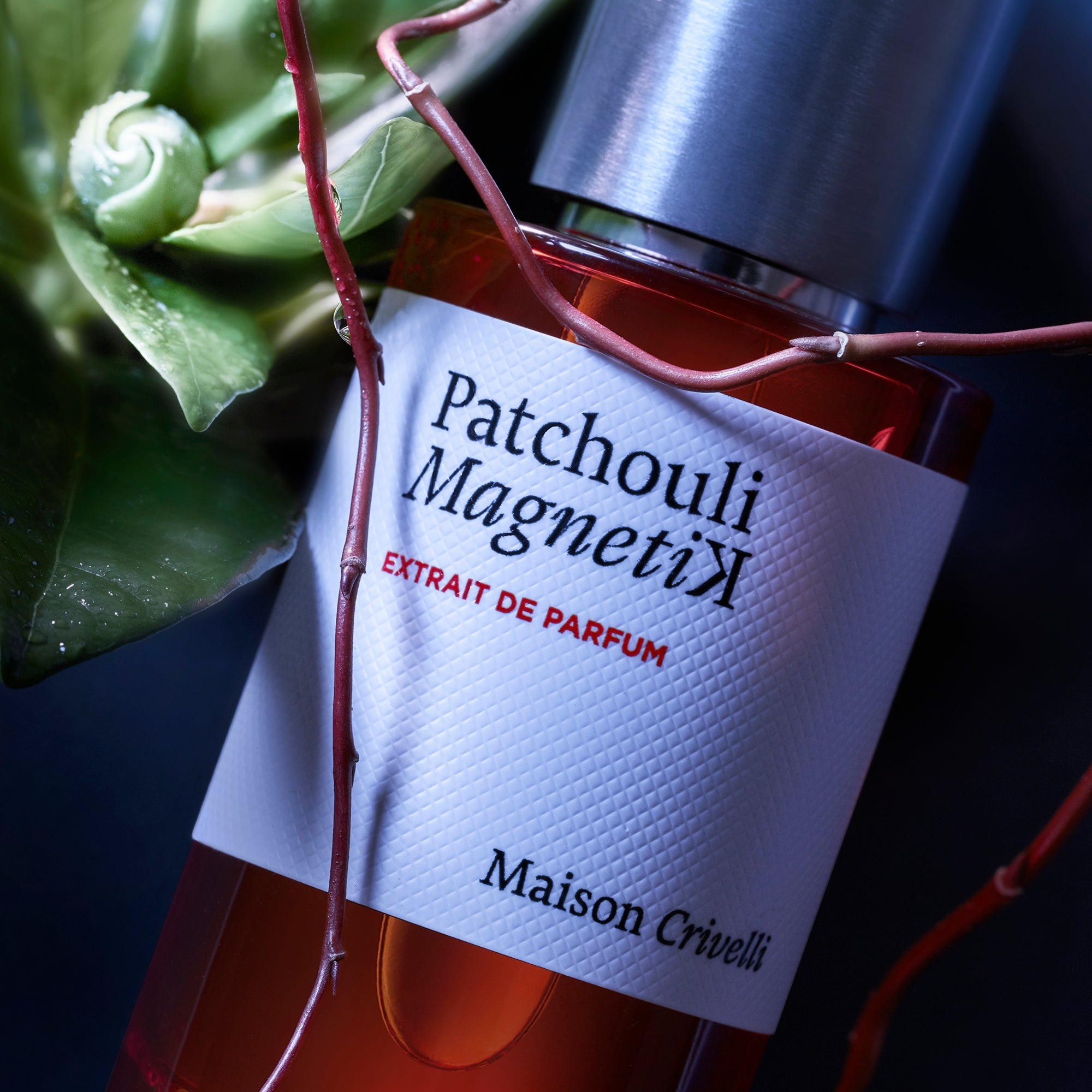 Maison Crivelli Patchouli Magnetik Extrait - Maison CrivelliMaison Crivelli