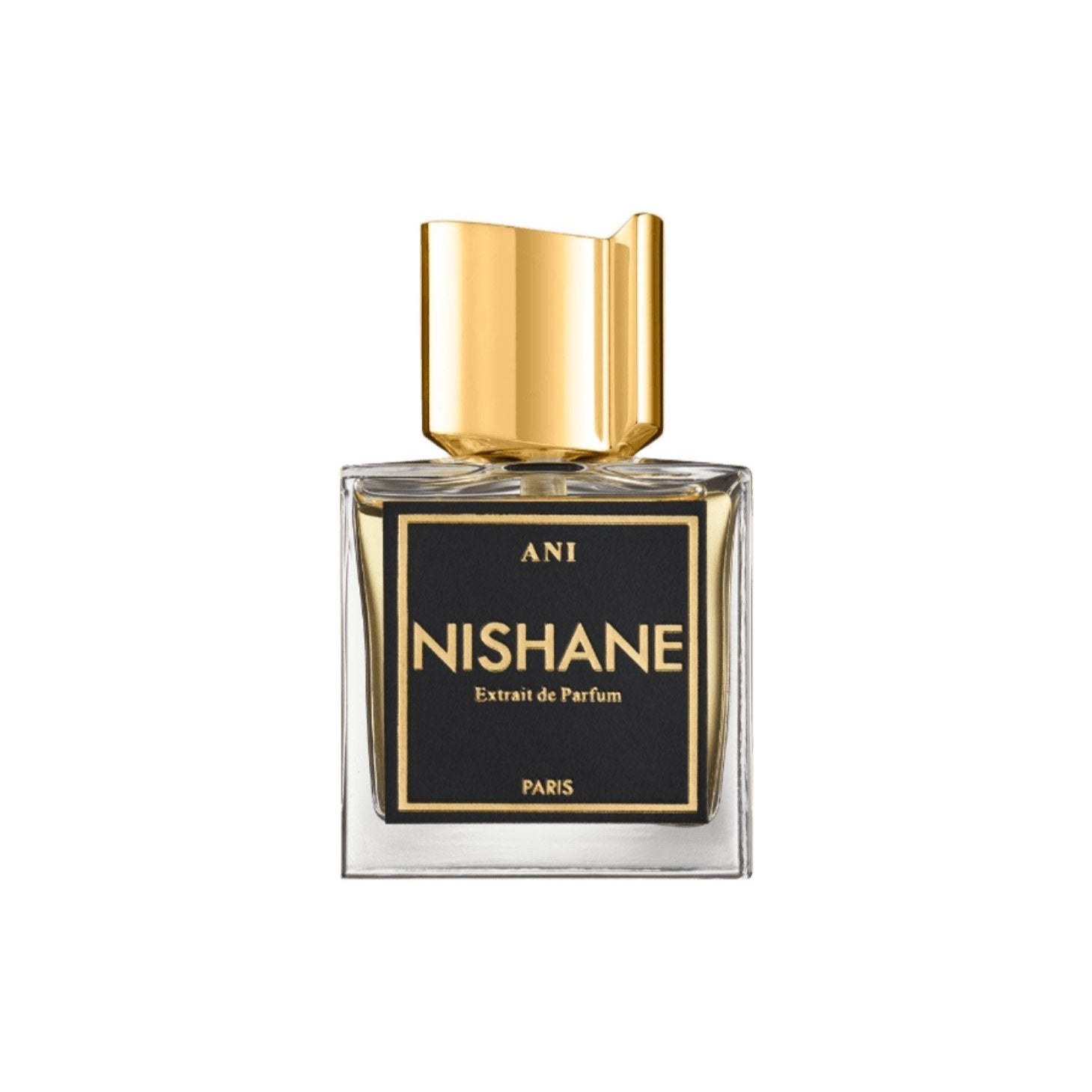 nishane-ani-extrait-50ml-
