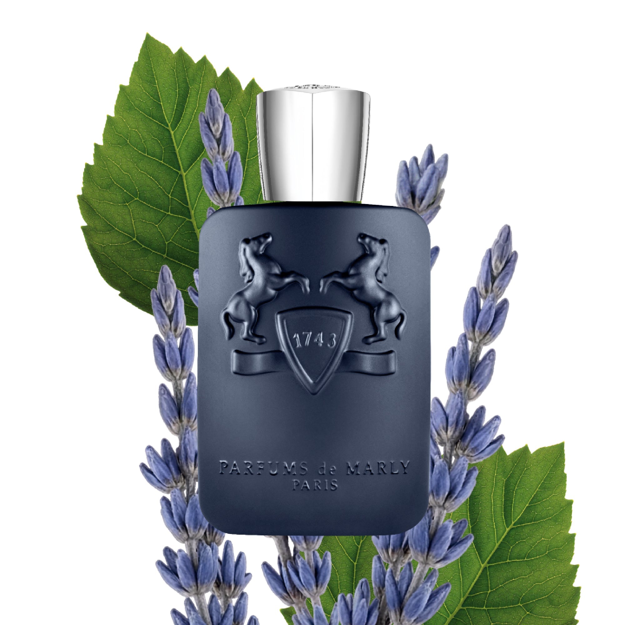 香水(男性用) Parfums De Marly Layton 75ml Parfums de Marly Layton | Eau de Parfum