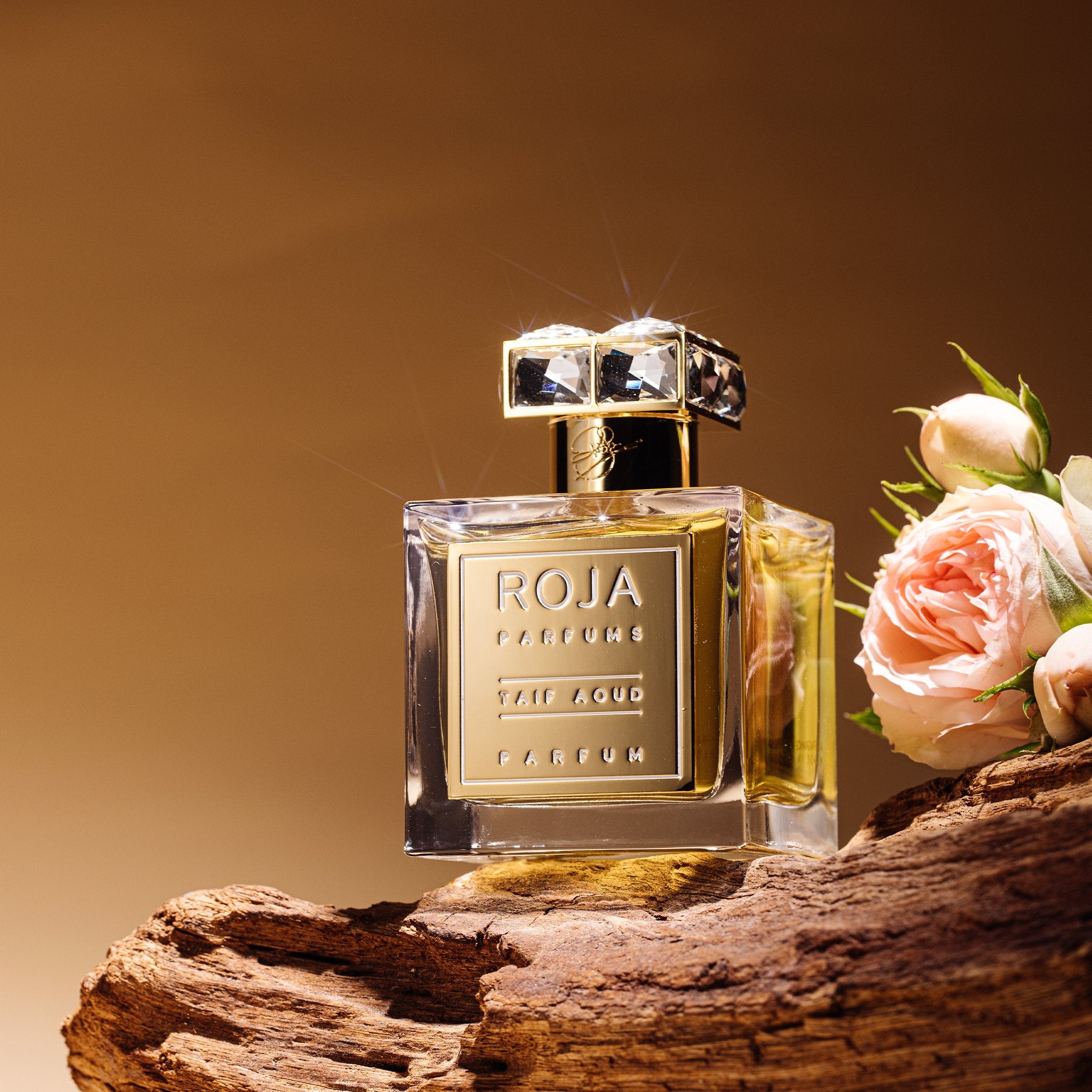 Roja Parfums Taif Aoud Parfum 100ml - RojaRabica