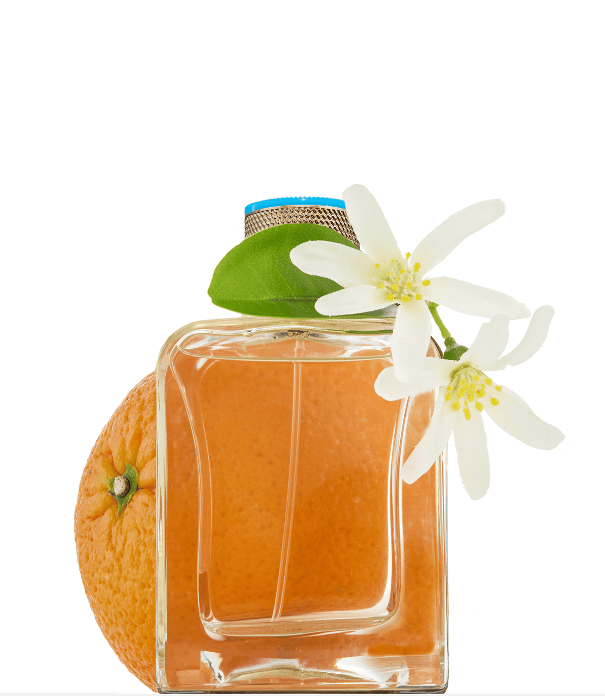 Véronique Gabai Souvenirs de Tunisie | Eau de Parfum -Véronique GabaiVERONIQUE GABAI