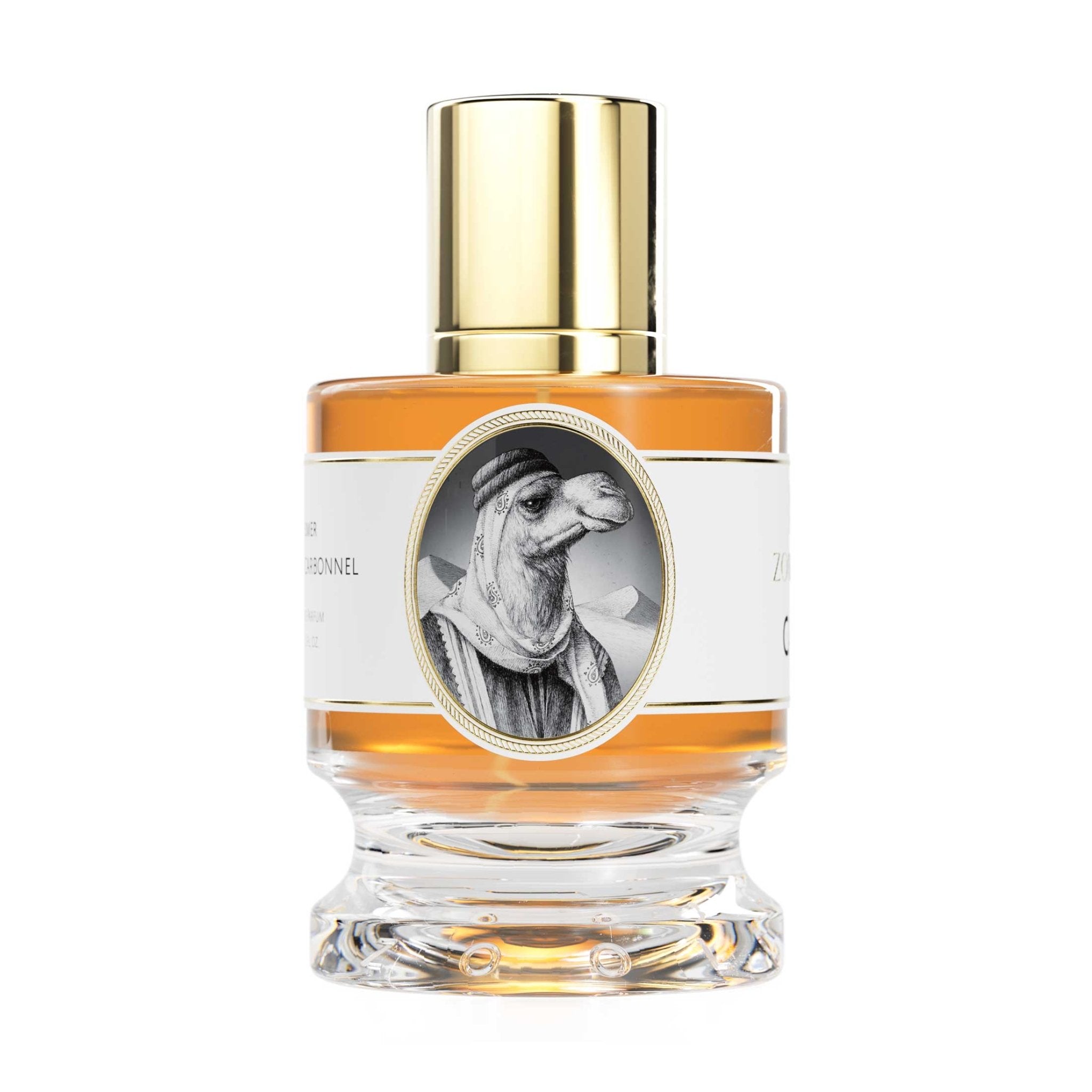 Zoologist Camel - ZoologistZoologist