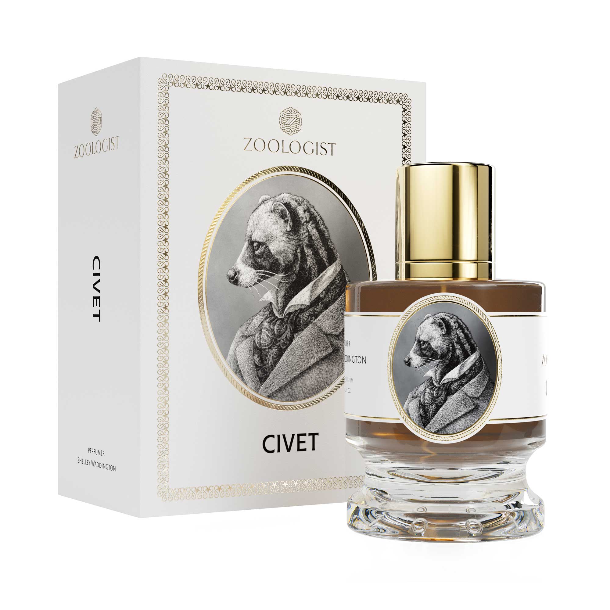 Zoologist Civet - ZoologistZoologist