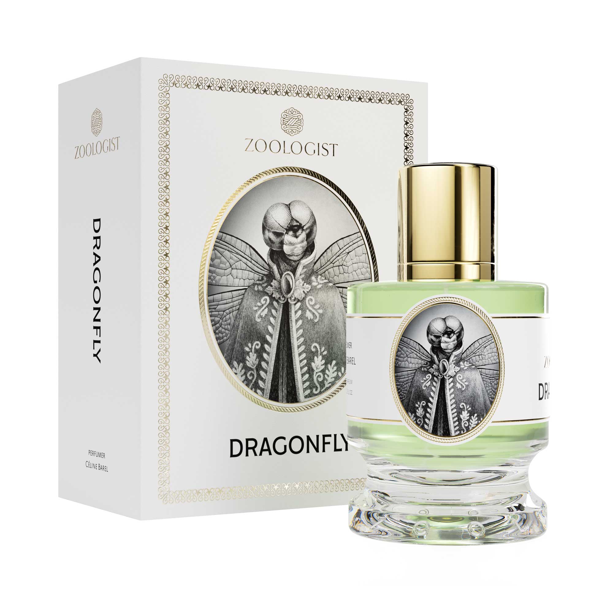 Zoologist Dragonfly - Rabica