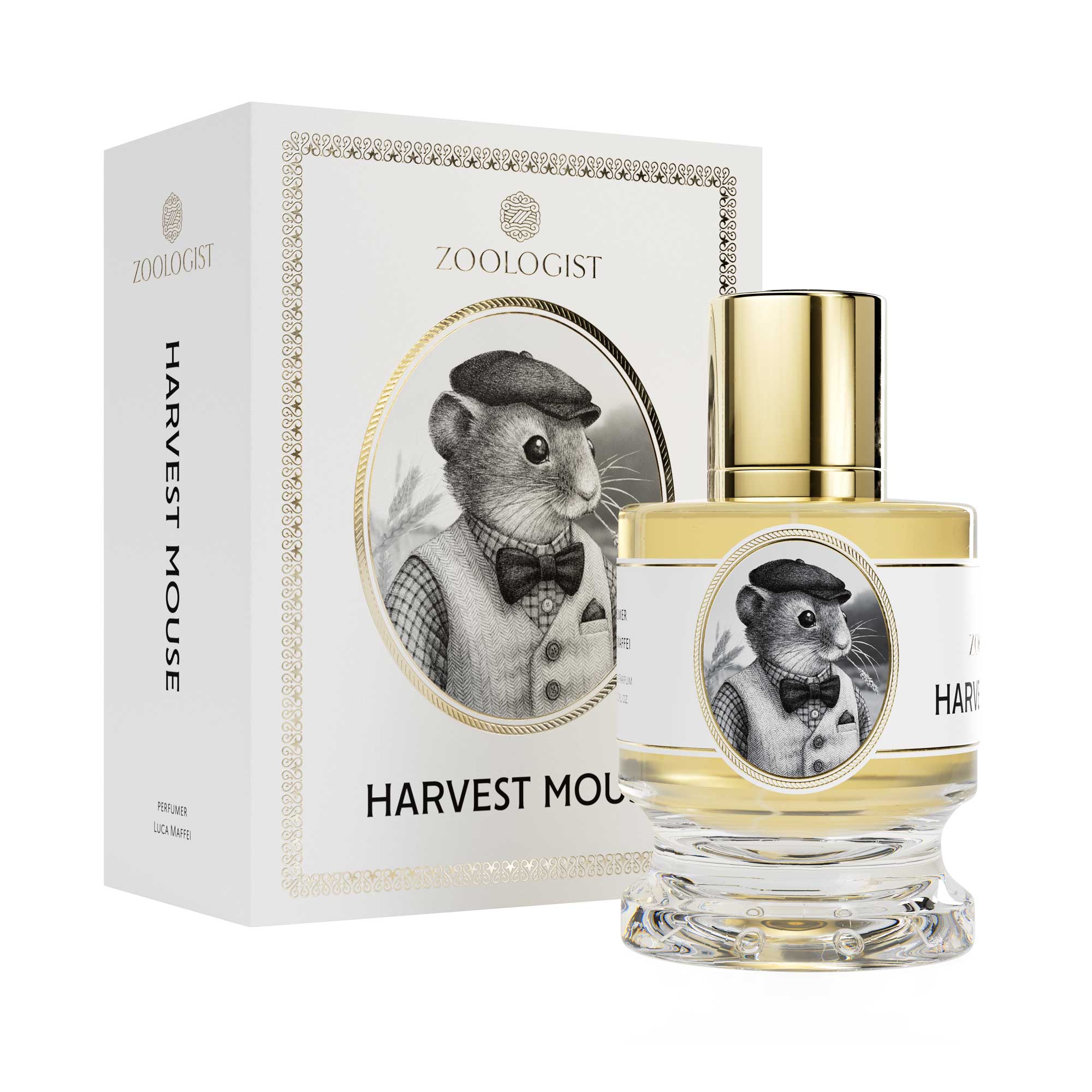 Zoologist Harvest Mouse - ZoologistZoologist