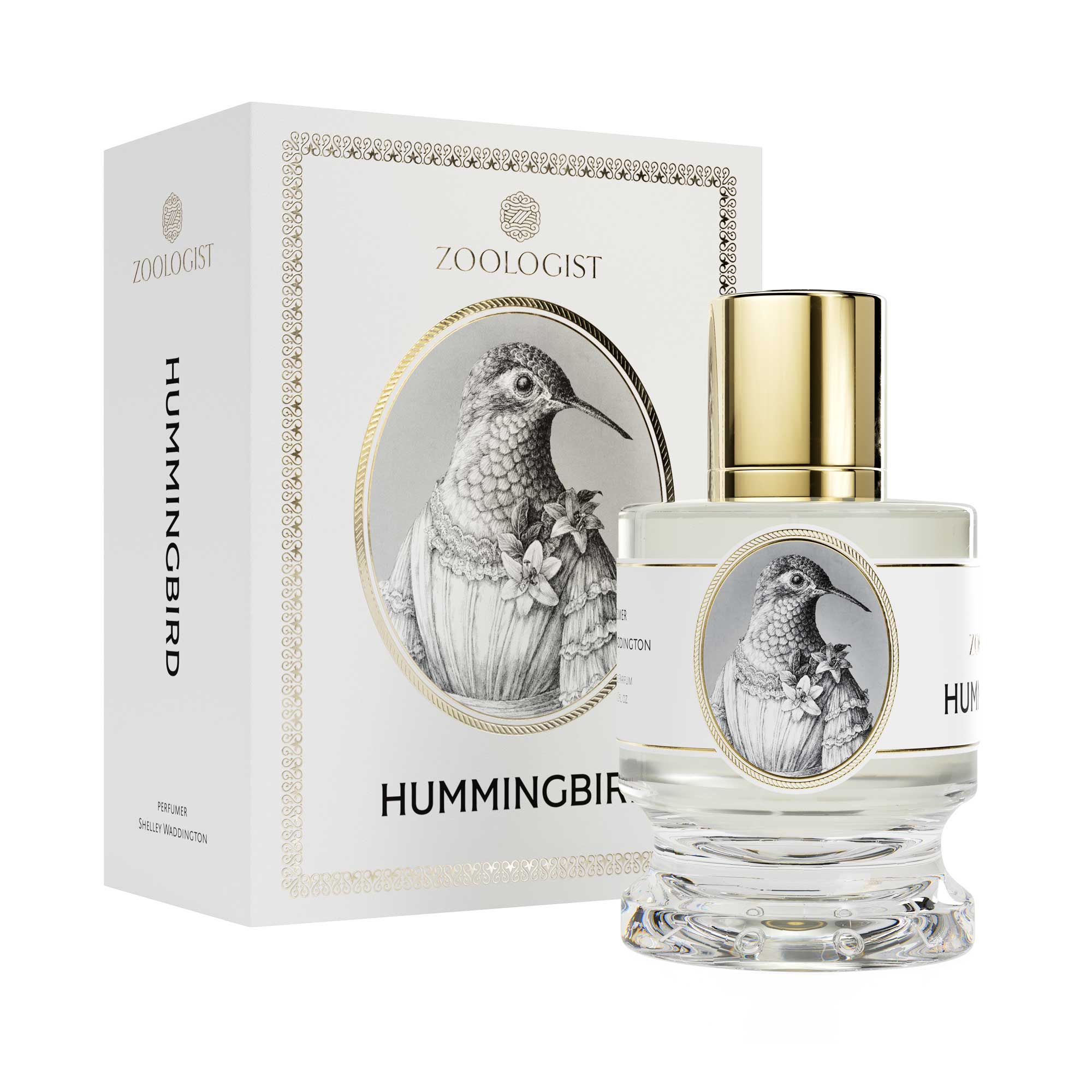 Zoologist Hummingbird - Rabica Zoologist Hummingbird - Rabica